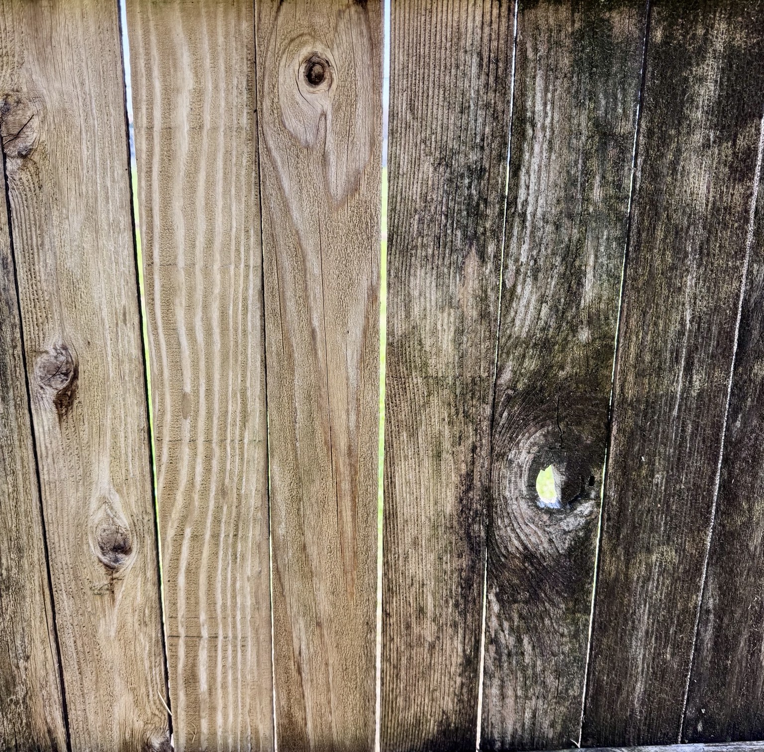 Half-cleaned wood fence showing a dramatic side-by-side transformation