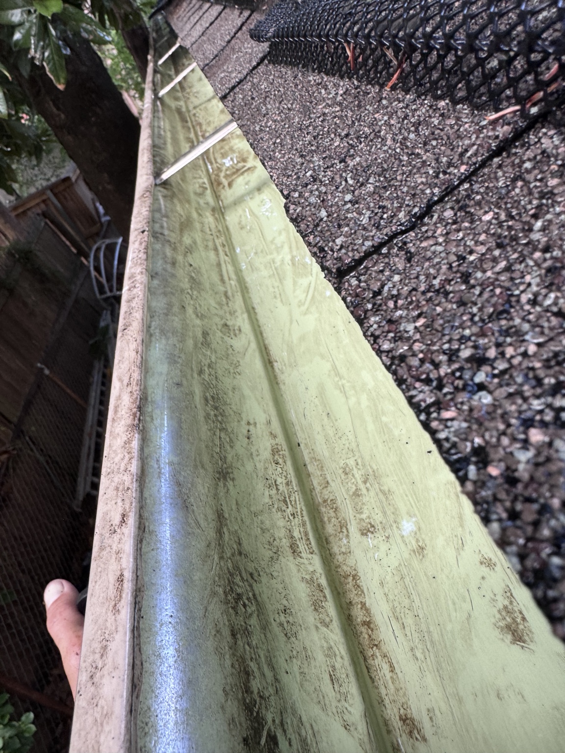 Residential gutter channel cleared of heavy debris beside gutter guards
